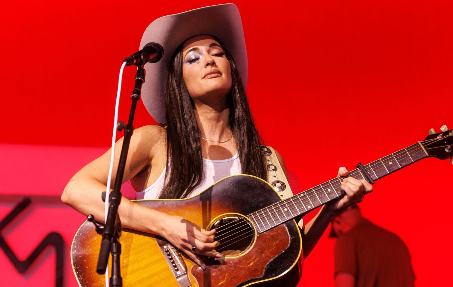 kacey-musgraves-disguises-herself-as-a-giant-armadillo-to-hunt-down
